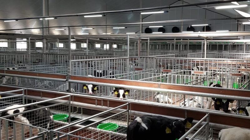 成都网店装修外包公司