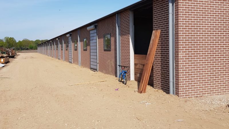 深圳独立站建站，价格背后的考量因素