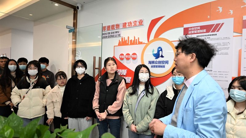 拼多多代运营服务费：揭秘计算方式与影响因素